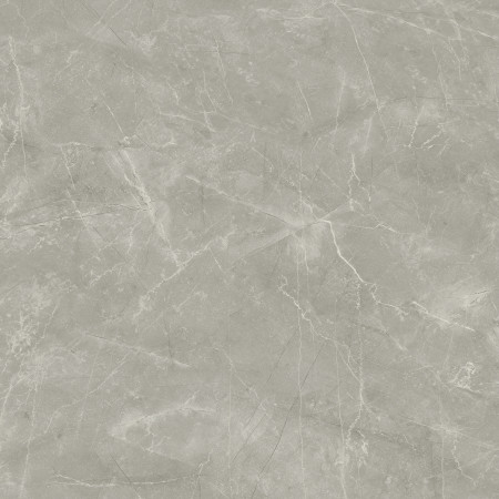 Керамогранит Wolf Grey 80х80