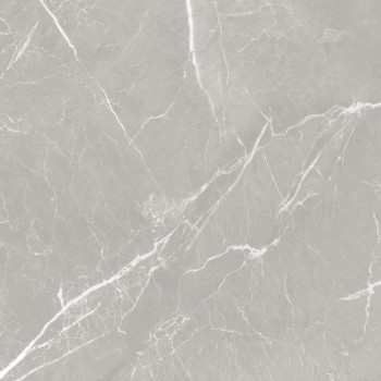 10GCRGCL0064 Керамогранит Carolina_GT Серый 60x60 _ 1\43,2