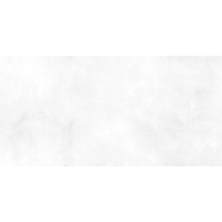 Плитка TWU09RCD000 Richard 24.9x50