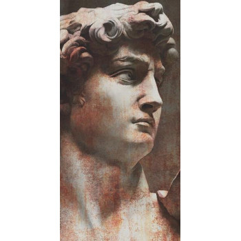 Керамогранит VT/A564/SG5918R Ковер Давид 1 матовый 119,5х238,5