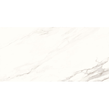 Керамогранит Calacatta Superb полированный 60x120