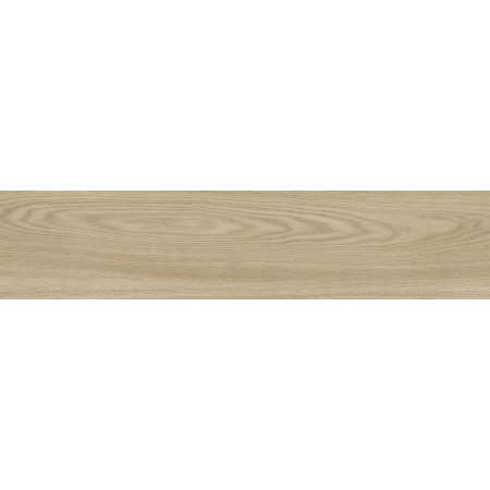 Керамогранит GFA92ADR40R Andora 200x900x9