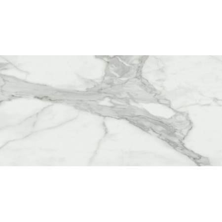 Керамогранит Invictus Natural Rectificado 60x120