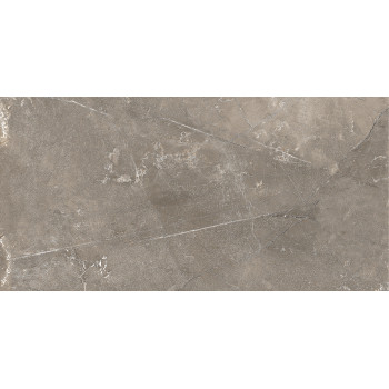 GT122VG Плитка облиц. Siluet GT Кор. 50*25 _ 1 \74,25