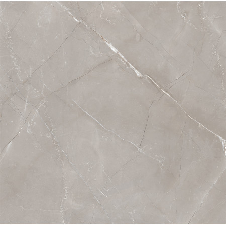 Керамогранит Vitrum Grigio матовый 60x60