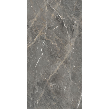 GT1206012109SPR Керамогранит Tulip_GT Темно-сер. 60x120 _ 1\46,08