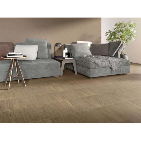 Керамогранит C-SJ4R152D Scandic бежевый 42х42