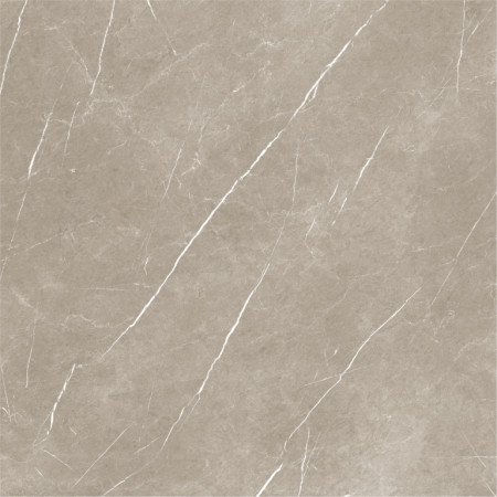 Керамогранит Eternal Taupe Natural 120x120