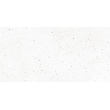 Керамогранит G-40 MR 30х60