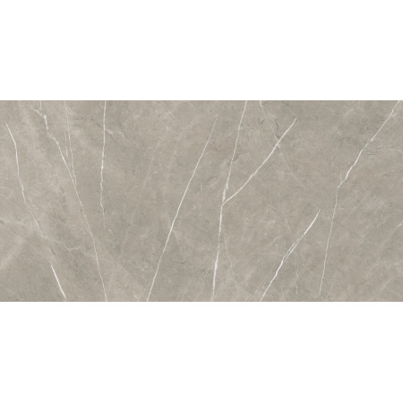 Керамогранит Eternal Taupe Natural 80x160