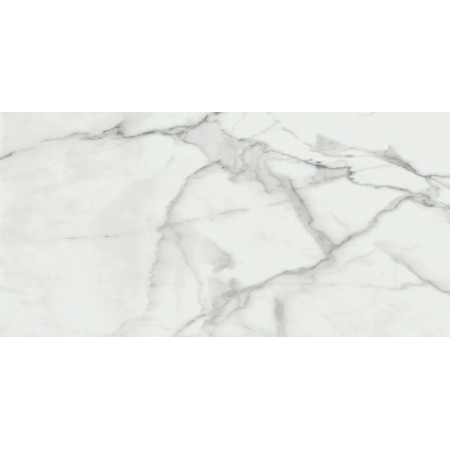 Керамогранит Invictus Natural Rectificado 60x120