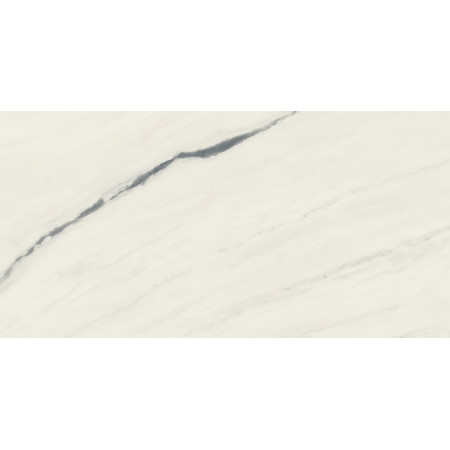 Керамогранит 610015000664 Forte dei Marmi Panda White Lapp 80x160