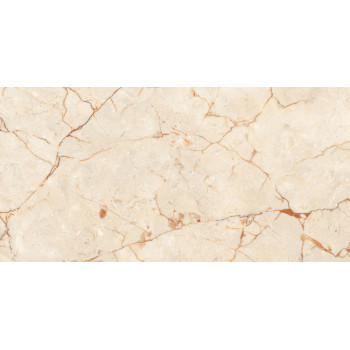 Керамогранит Rosalia Polished 60х120