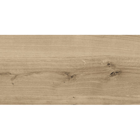 Керамогранит C-WS4O152D Woodhouse темно-бежевый 29,7х59,8