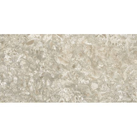 Керамогранит Lunar Beige/Лунар Бежевый MR 120x60