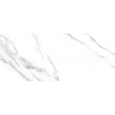 10100001333 Плитка облиц. Anima Бел. 60*25 01_ 1 \57,6