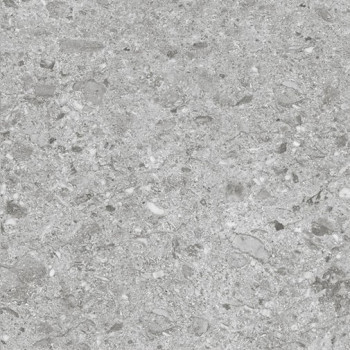 Керамогранит Canyon Silver 60x60