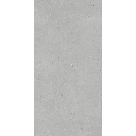 Керамогранит K947893R0001VTER Серый Матовый R10A Ректификат 60x120