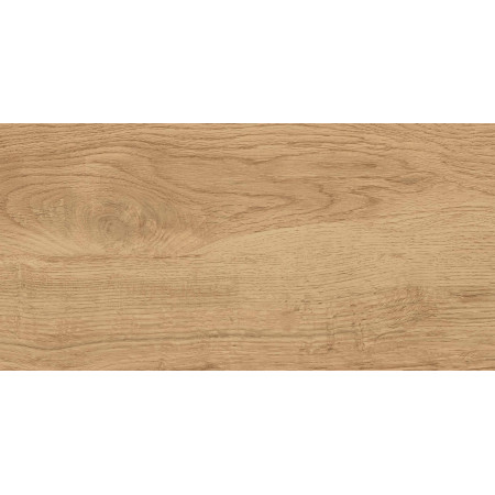 GT220VG Керамогранит Florida_GT Беж. 30x60  1\58,32