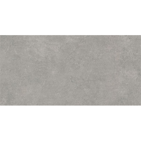 Керамогранит K945778R0001VTE0 Newcon Серебристо-серый 60x120