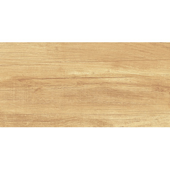 Плитка WT9OAS31 Paradise Wood 250*500*9