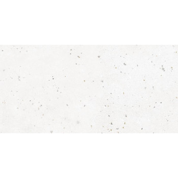 Керамогранит G-40 MR 60х120