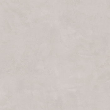 Керамогранит SG453820R Город на воде серый обрезной 50,2x50,2x8,5