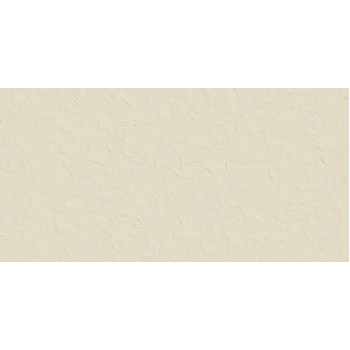 Керамогранит Logan Bone 60x120