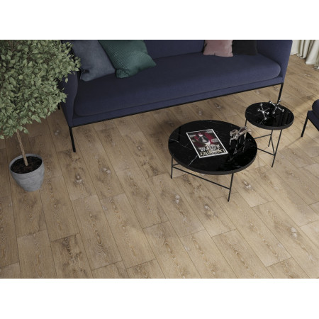 Керамогранит C-PT4M302D Patinawood светло-бежевый 18,5х59,8