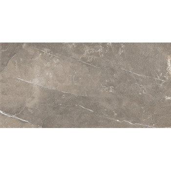 GT122VG Плитка облиц. Siluet GT Кор. 50*25 _ 1 \74,25