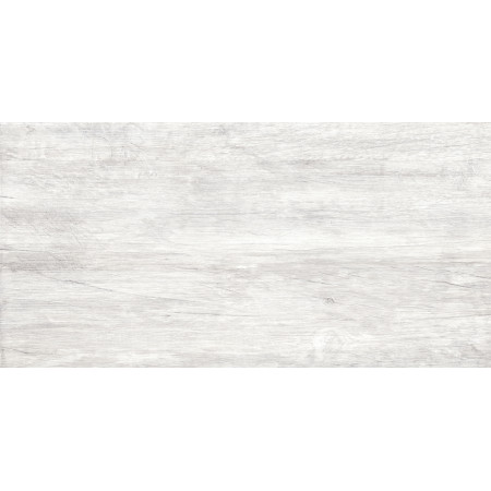 GT223VG Керамогранит Storm_GT светло-сер. 30x60  1\58,32