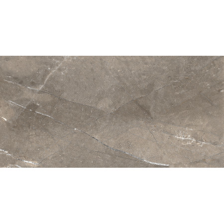 GT122VG Плитка облиц. Siluet GT Кор. 50*25 _ 1 \74,25