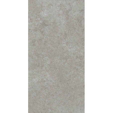 Керамогранит DD590600R Про Лаймстоун АТ серый натуральный обрезной R10 119,5х238,5