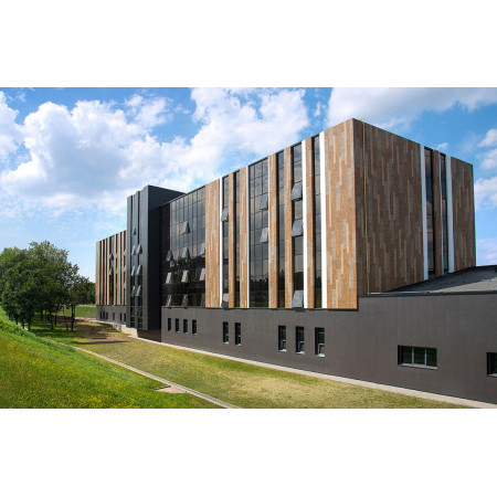 Ступени Stage Lux Granite WOOD EGO Blue / Ступень Люкс Гранит ВУД ЭГО Синий ASR 120x32