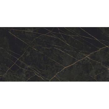 Керамогранит Granite SANDRA Black Olive / Гранит Сандра черно-оливковый LLR 120x60