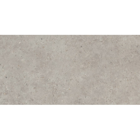 Керамогранит SG519920R Риккарди серый светлый матовый обрезной 60х119,5