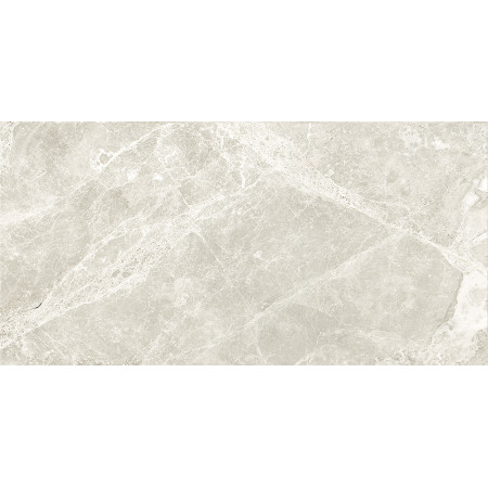 GT209VG Настенная плита Action_GT светло-сер. 30x60 _ 1\58,32