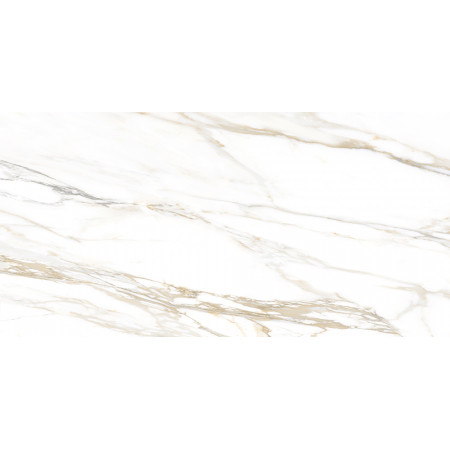 GT193VG Настенная плита Surprise_GT Бел. 30x60 _ 1\58,32