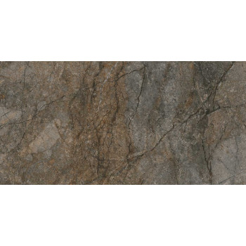 Керамогранит DL502900R Сильвер Рут серый обрезной 60*119.5