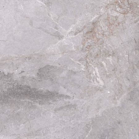 Керамогранит Fior Di bosco Grey 60x60