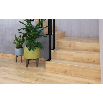 Керамогранит C-WS4O112D Woodhouse коричневый 29,7х59,8