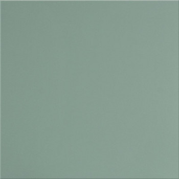 Керамогранит UF029 (мурена моноколор) матовый ректифицированный 60х60