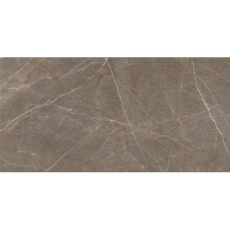 Керамогранит SOFIA Brown / СОФИЯ Велюр MR 120x60