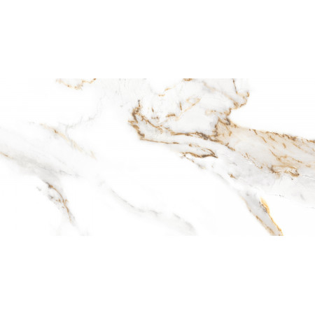 GT97VG Плитка облиц. Capella GT Бел. 50*25 _ 1 \74,25