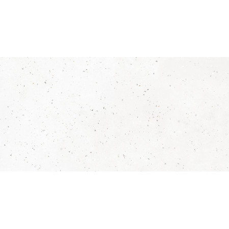 Керамогранит G-40 MR 30х60