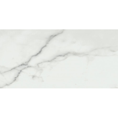 Керамогранит Invictus Natural Rectificado 60x120