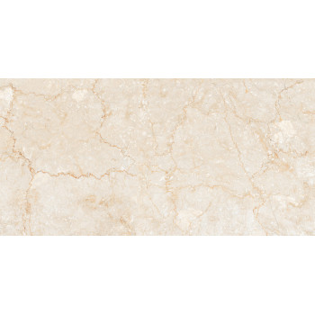 Керамогранит Bottochino Classic Polished 60х120