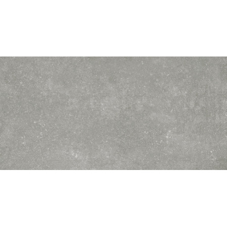 Керамогранит Granite Gloria Gray / Граните Глория Серый SR 120x60
