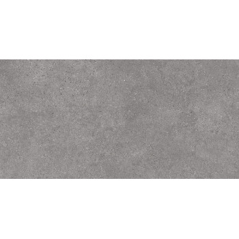 Керамогранит DL590100R Фондамента серый обрезной 119,5х238,5