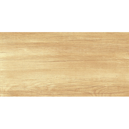 Плитка WT9OAS31 Paradise Wood 250*500*9